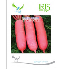 Iris Imported Chinese Pink Radish Special 50 grams